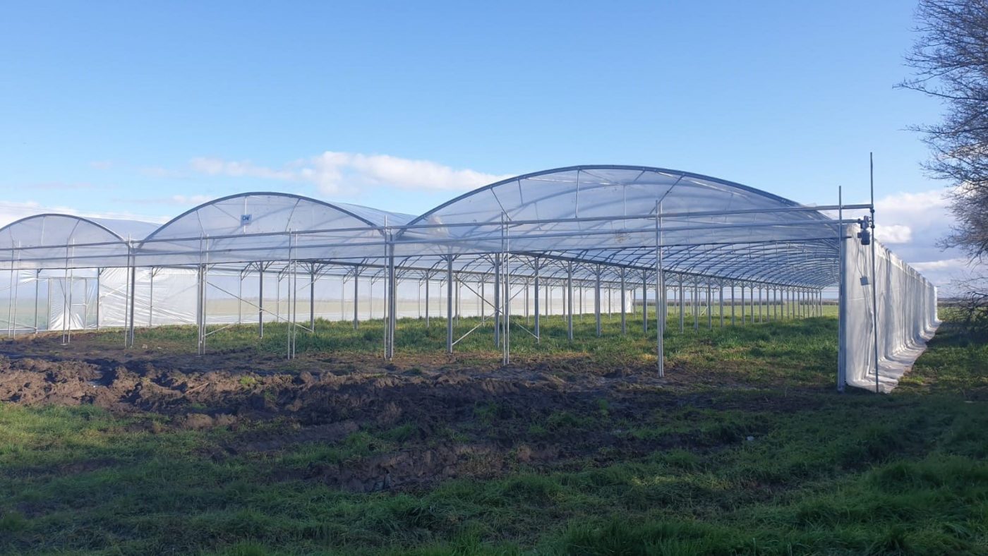 Vis de fondation Weasyfix pour l'agriculture